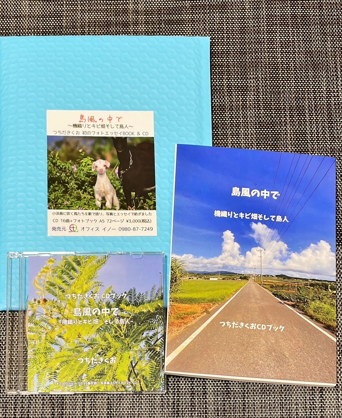 島風の中で